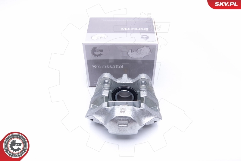 Brake Caliper 45SKV061