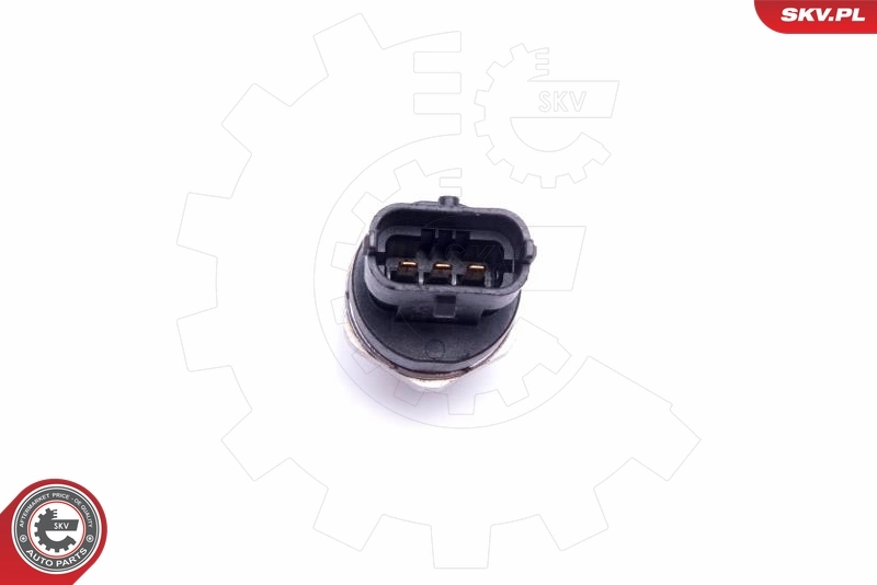Sensor, fuel pressure 17SKV618