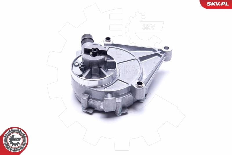 Vacuum Pump, braking system 18SKV026