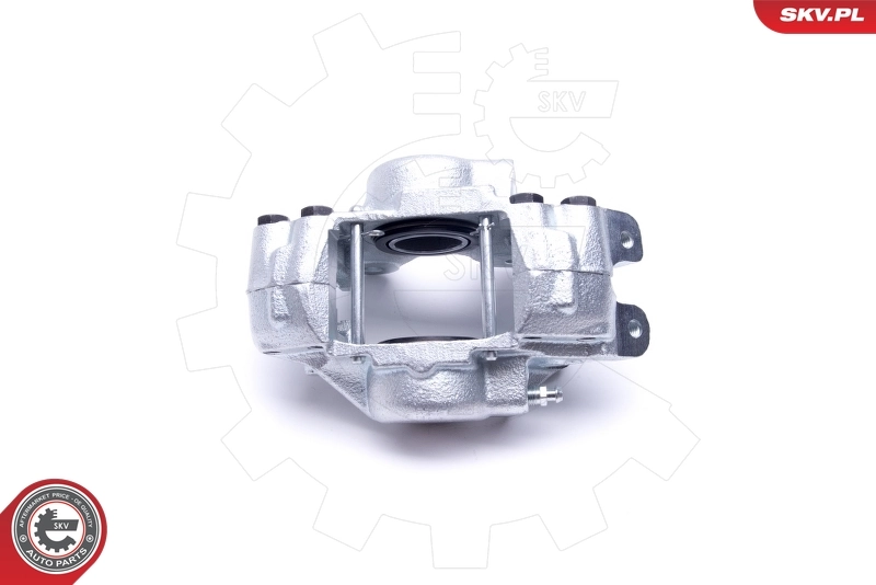 Brake Caliper 46SKV023
