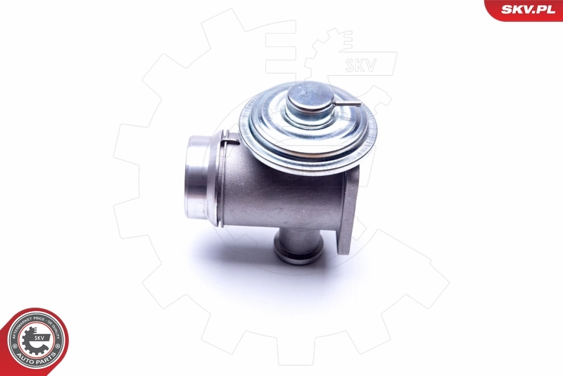 EGR Valve 14SKV176