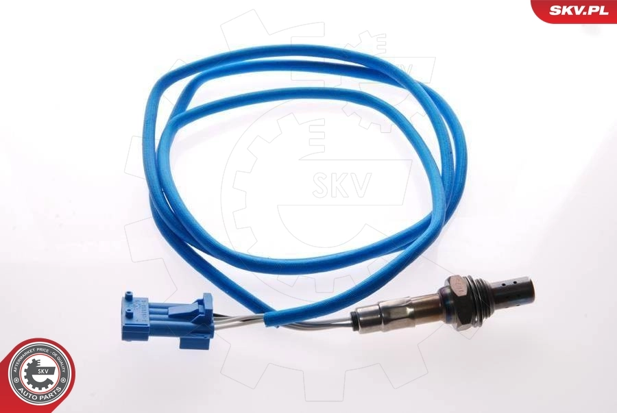 Oxygen Sensor 09SKV039