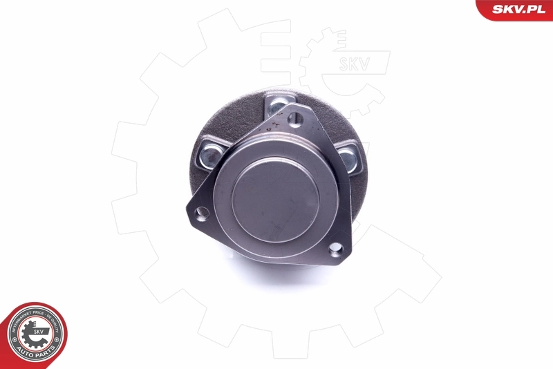 Wheel Bearing Kit 29SKV261