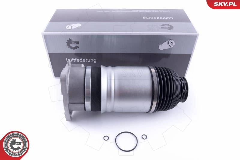 Air Spring, suspension 58SKV045