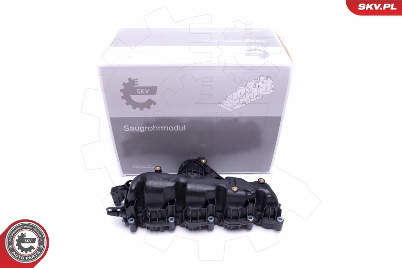 Intake Manifold Module 49SKV007