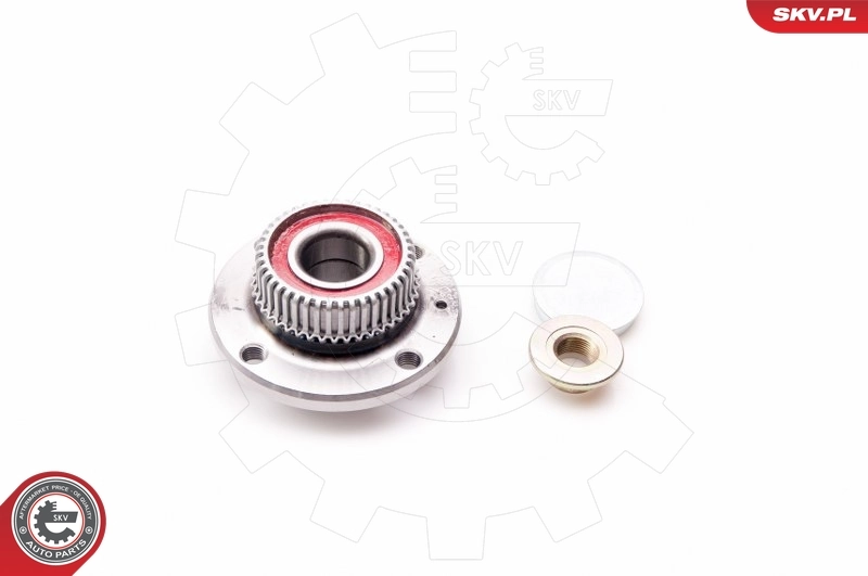 Wheel Bearing Kit 29SKV043