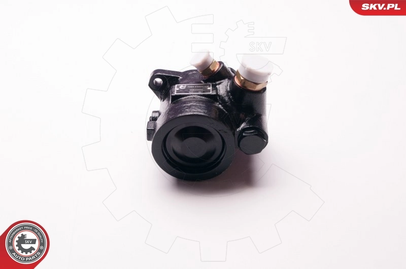 ESEN SKV 1SKV0001 Hydraulic Pump, steering