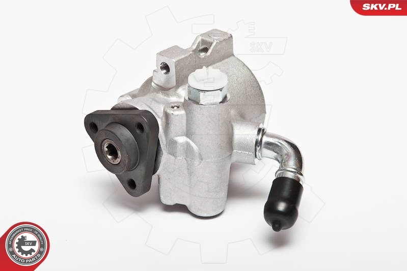 Hydraulic Pump, steering 10SKV041