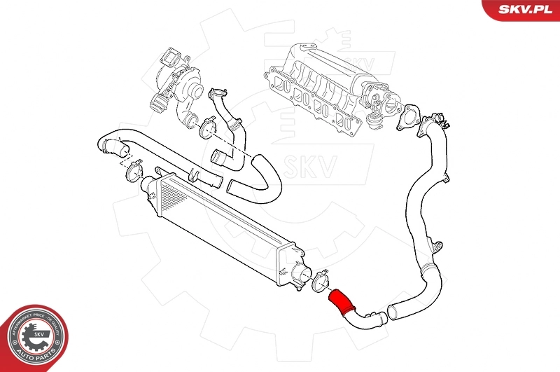 Charge Air Hose 24SKV557