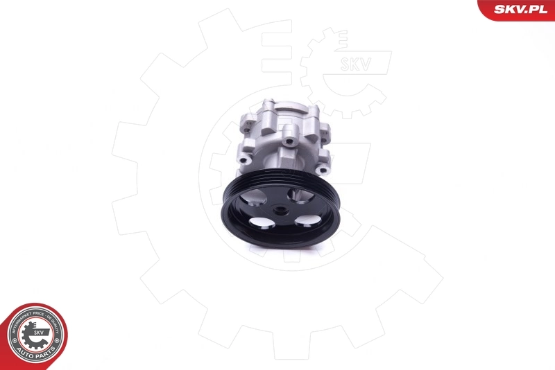 Hydraulic Pump, steering 10SKV251