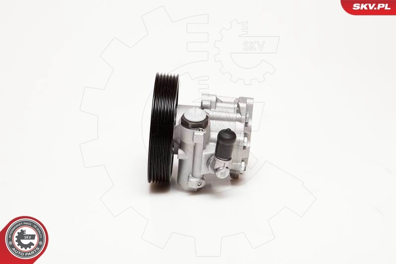 Hydraulic Pump, steering 10SKV100