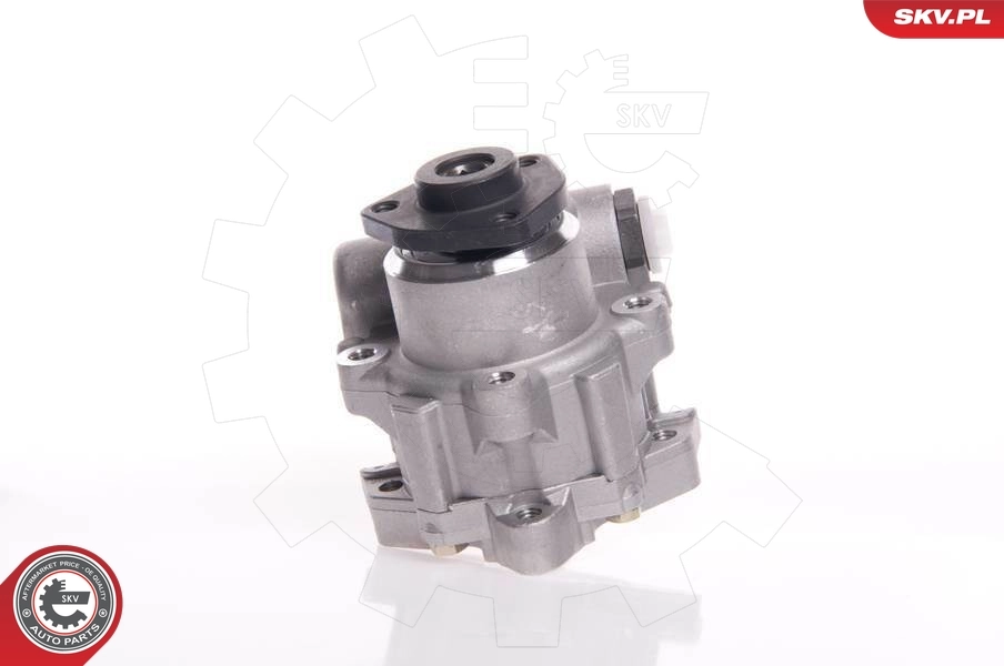 Hydraulic Pump, steering 10SKV145