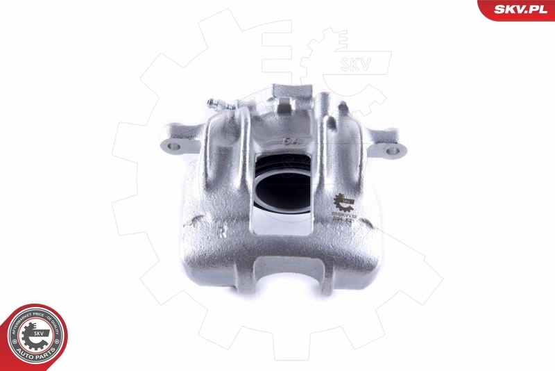 Brake Caliper 55SKV132