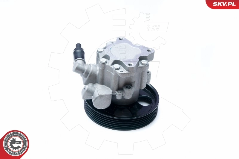 Hydraulic Pump, steering 10SKV073