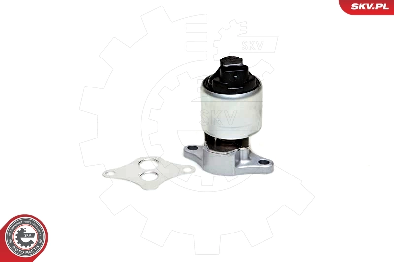 EGR Valve 14SKV037