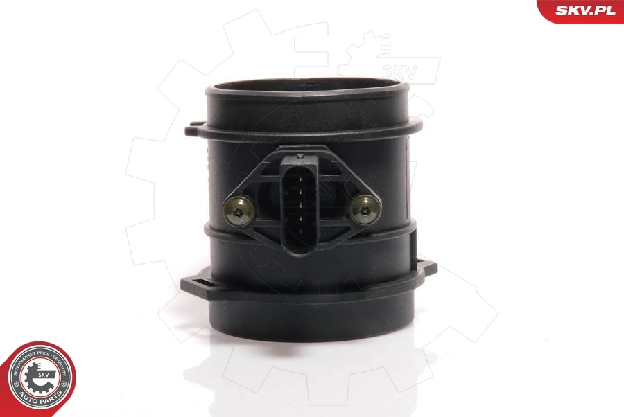 Mass Air Flow Sensor 07SKV033