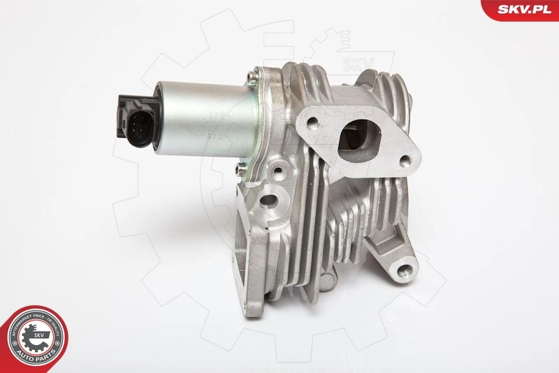 EGR Valve 14SKV036