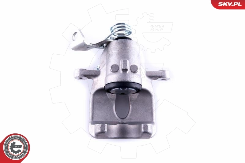 Brake Caliper 55SKV194