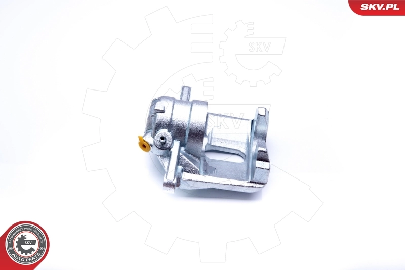 Brake Caliper 42SKV221