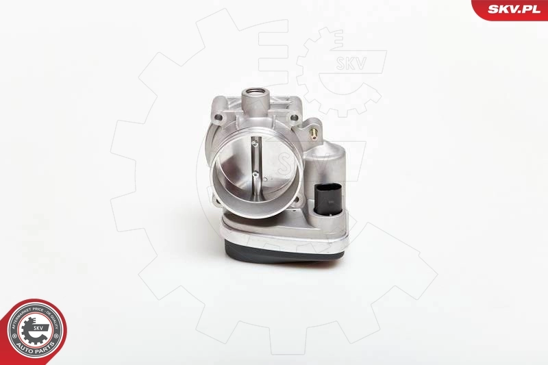 Throttle Body 12SKV040