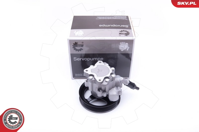 Hydraulic Pump, steering 10SKV266