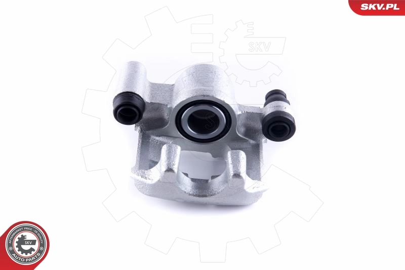 Brake Caliper 55SKV313