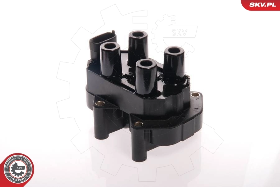 Ignition Coil 03SKV163