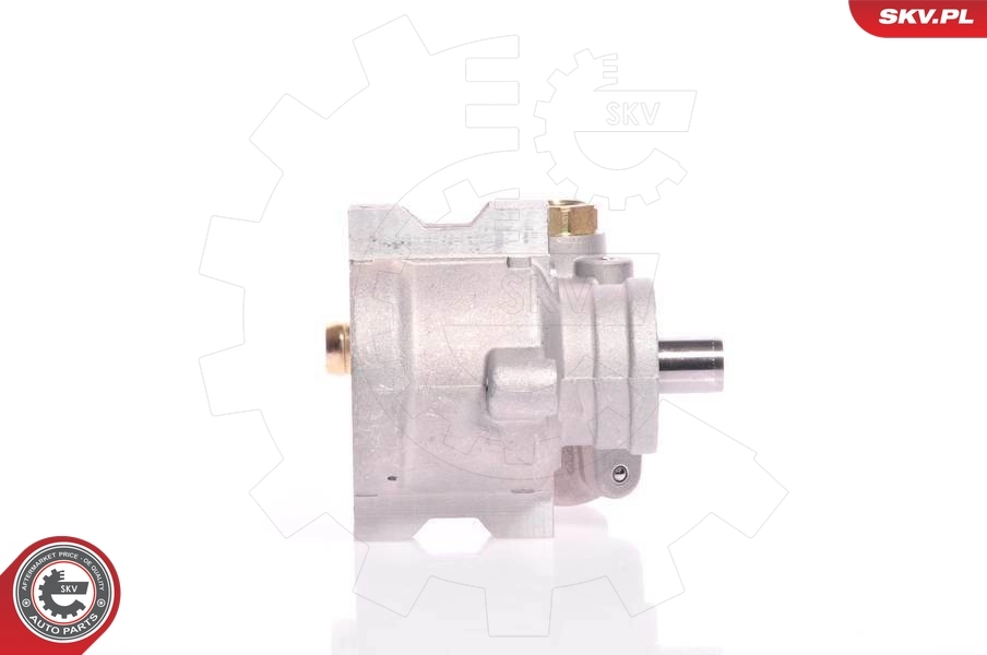 Hydraulic Pump, steering 10SKV154