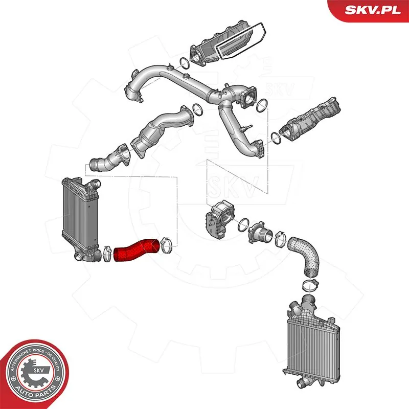 Charge Air Hose 43SKV491