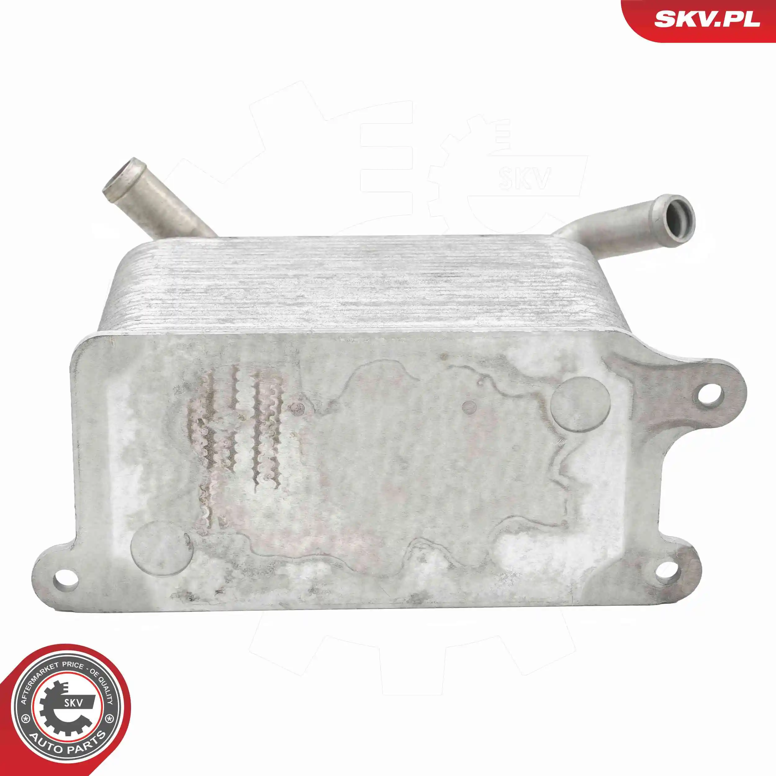 Oil Cooler, engine oil 31SKV353