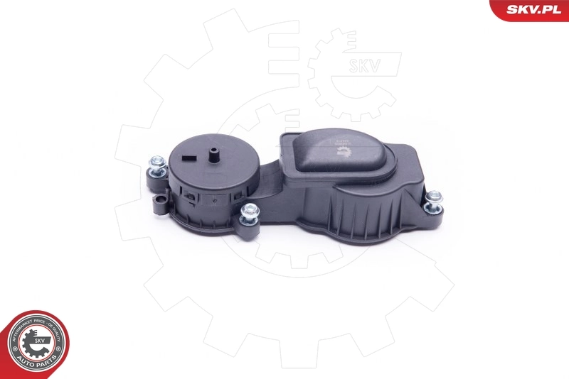 Valve, crankcase ventilation 31SKV033