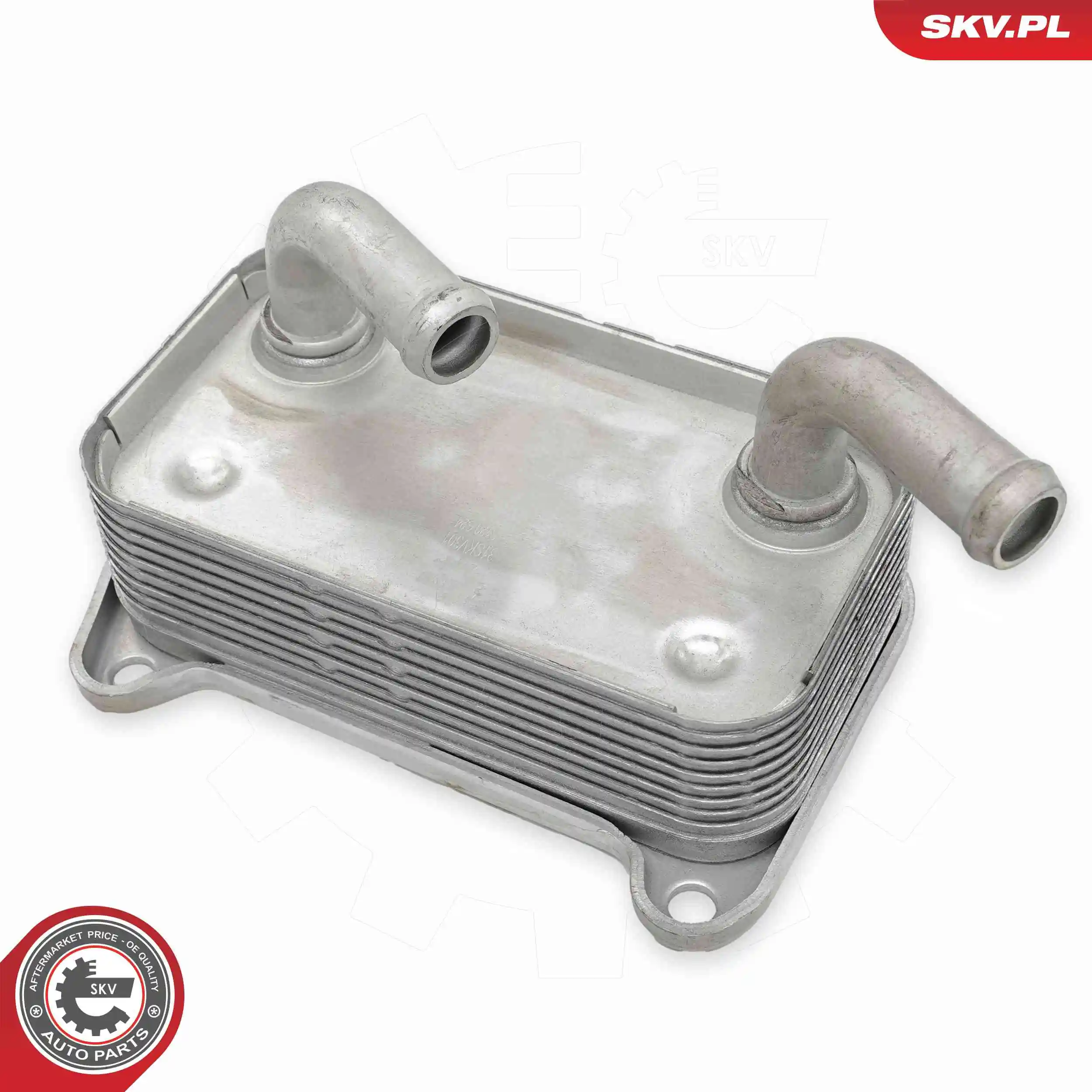 Oil Cooler, engine oil 31SKV301