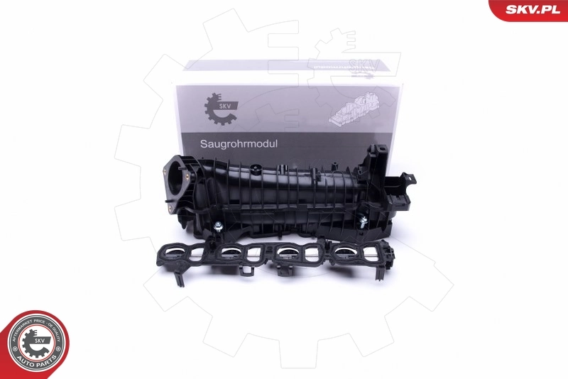 Intake Manifold Module 49SKV037