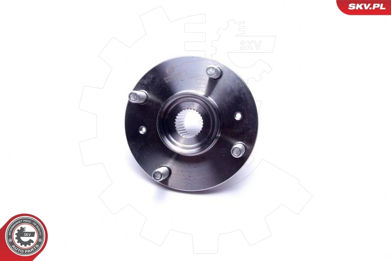 ESEN SKV 29SKV465 Wheel Bearing Kit