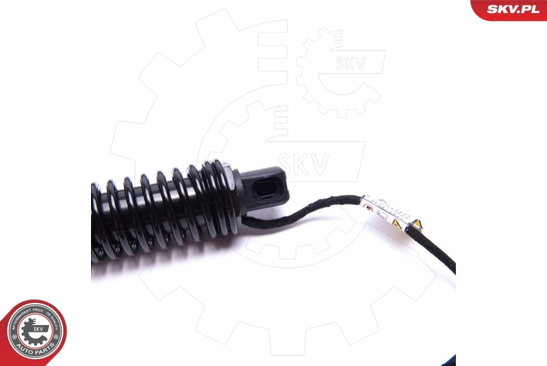 Electric Motor, tailgate 52SKV933