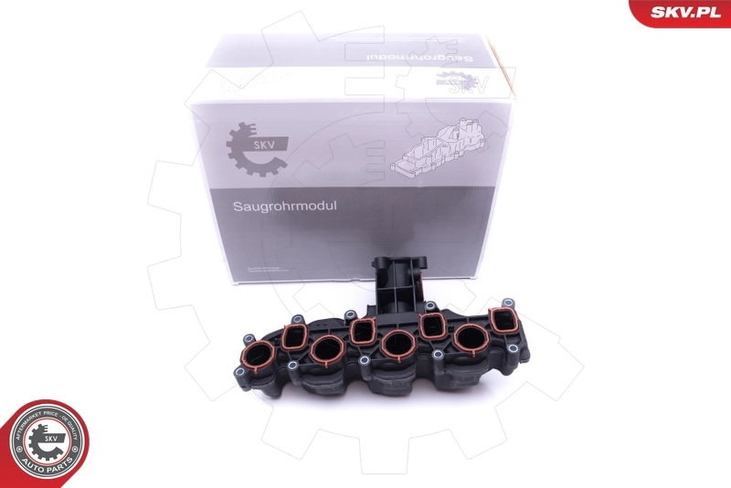Intake Manifold Module 49SKV008