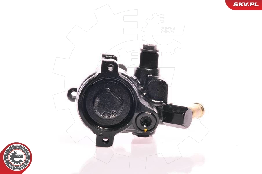 Hydraulic Pump, steering 10SKV175