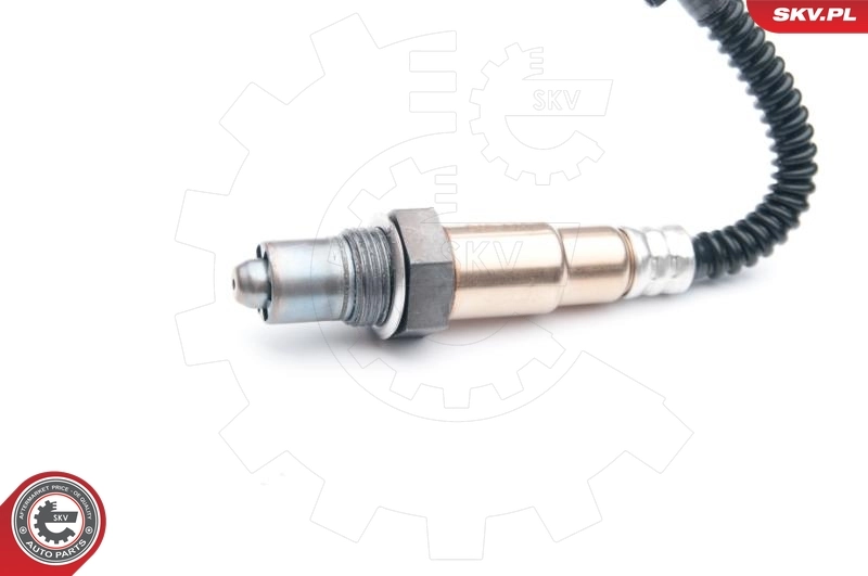 Oxygen Sensor 09SKV689