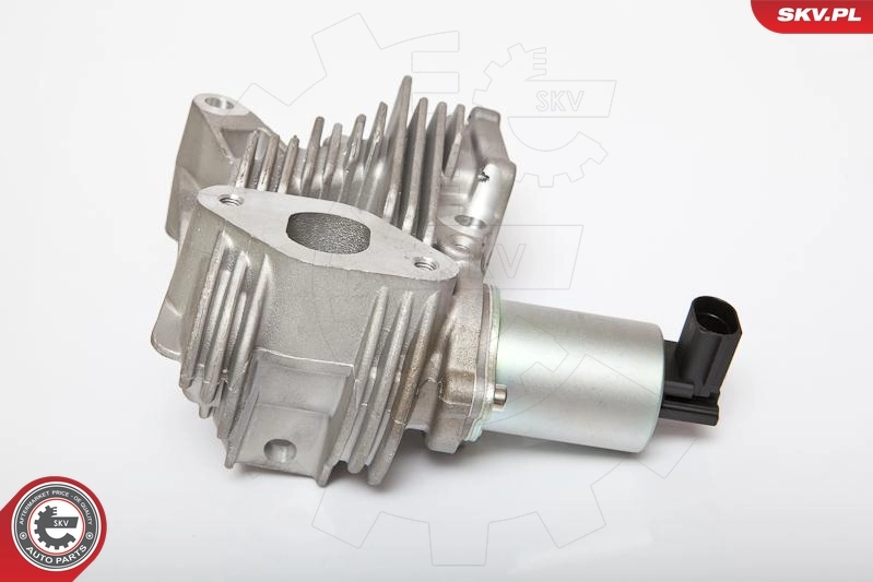 EGR Valve 14SKV036