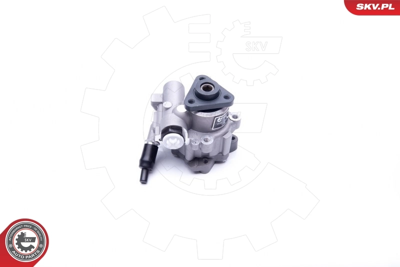 Hydraulic Pump, steering 10SKV243