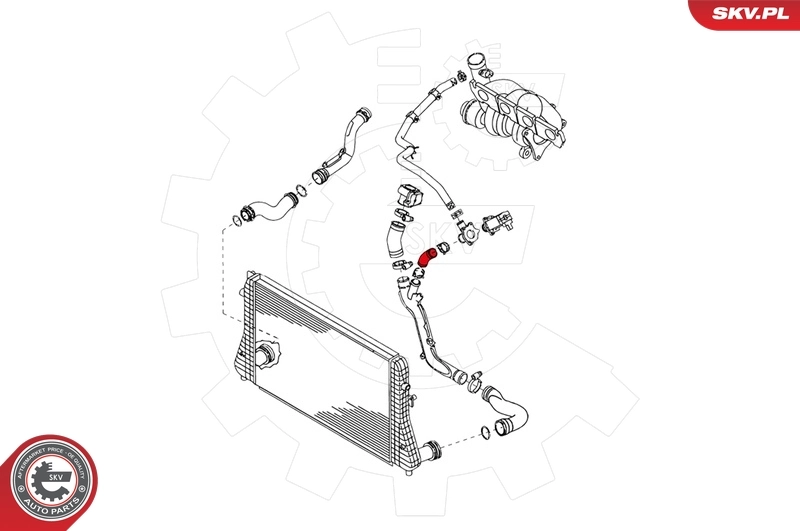 Charge Air Hose 24SKV061