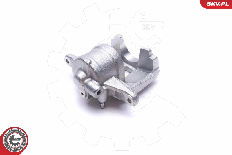 Brake Caliper 55SKV911