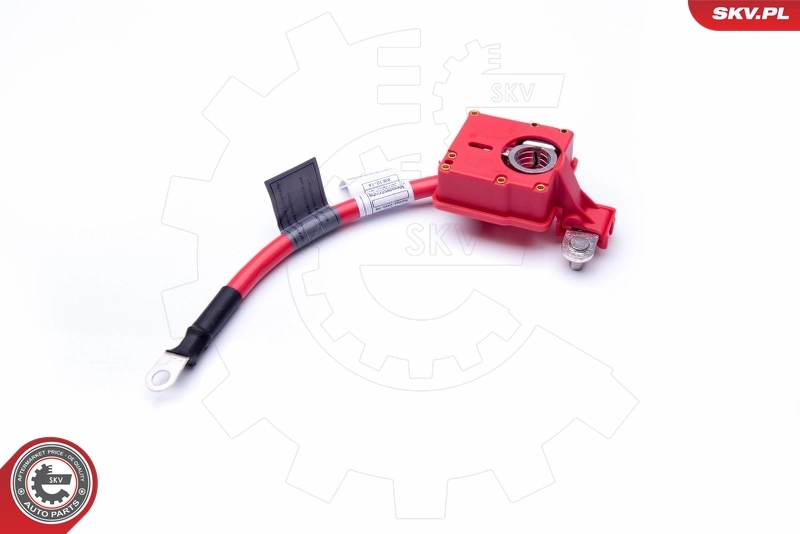 ESEN SKV 96SKV309 Battery Adapter
