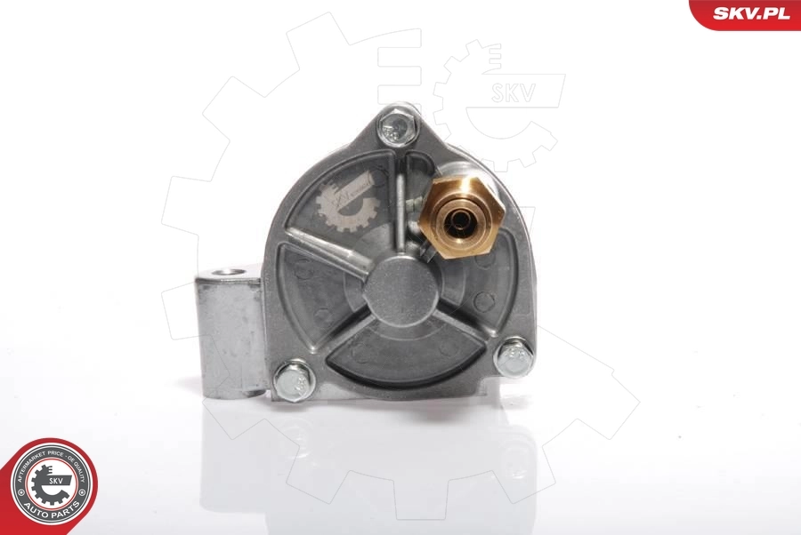 Vacuum Pump, braking system 18SKV002