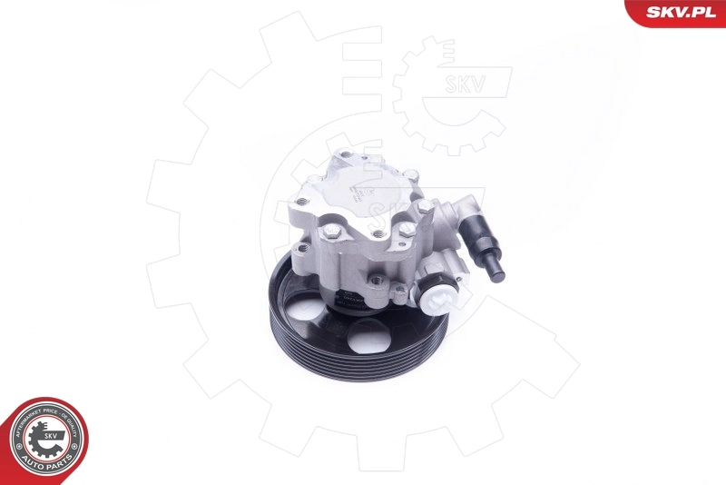 Hydraulic Pump, steering 10SKV240