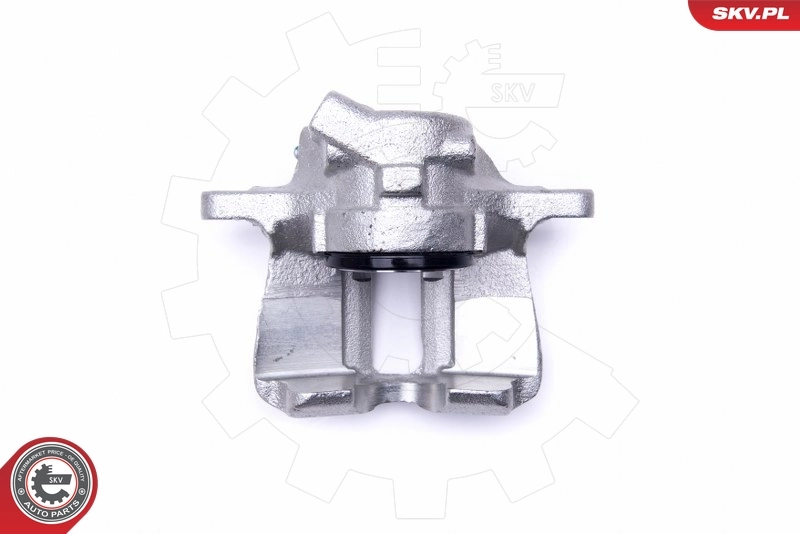 Brake Caliper 46SKV362