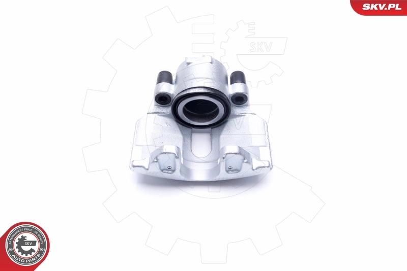 Brake Caliper 46SKV051