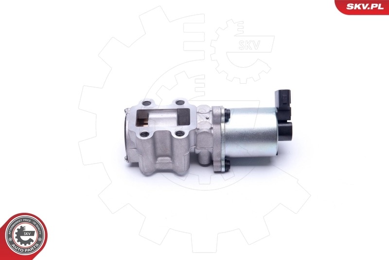EGR Valve 14SKV200