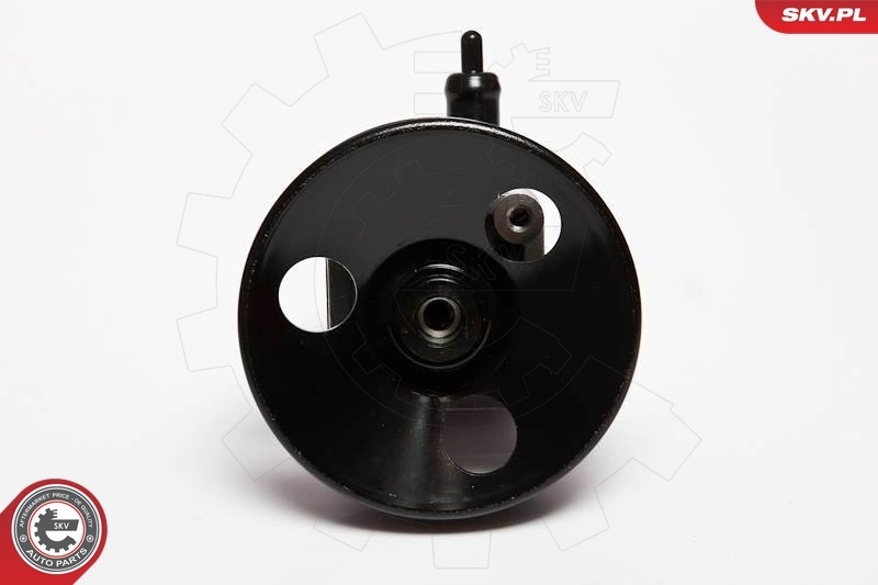 Hydraulic Pump, steering 10SKV010