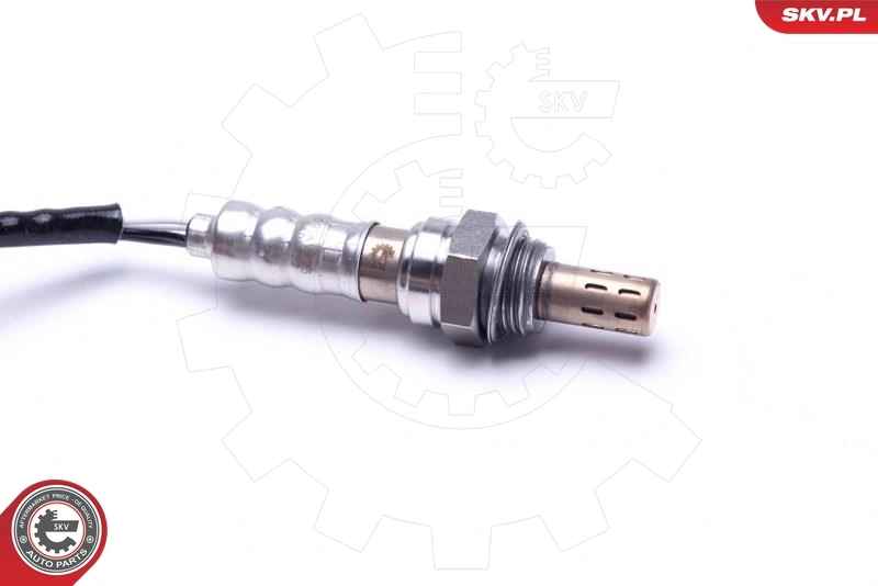 Oxygen Sensor 09SKV123